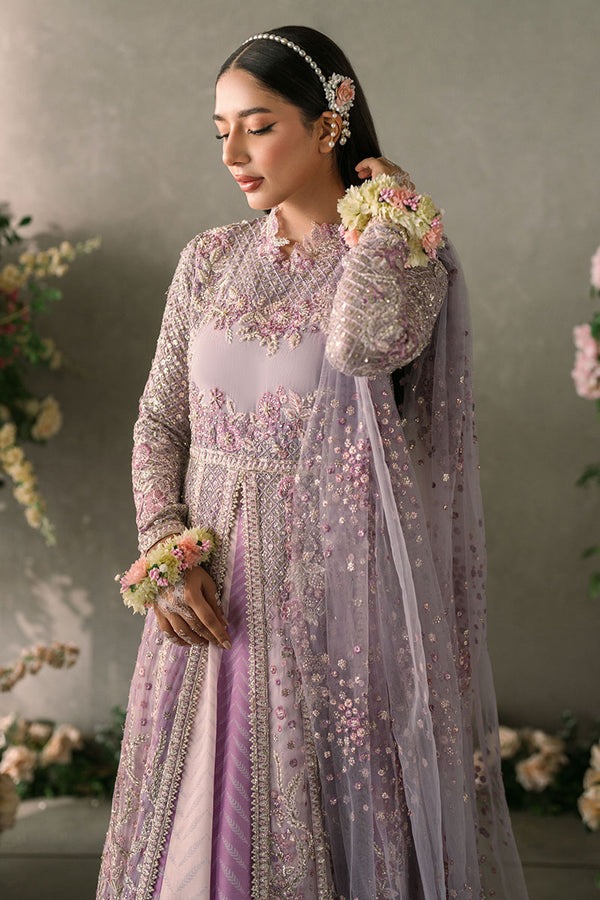 Mushq - Mastani Evening Luxury Chiffon Collection 2024