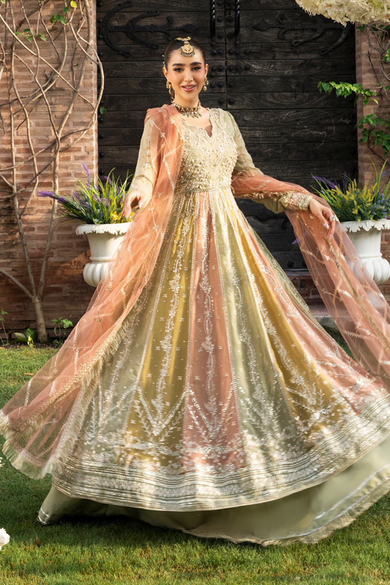 Rang Rasiya - Wedding Formals Collection 2025