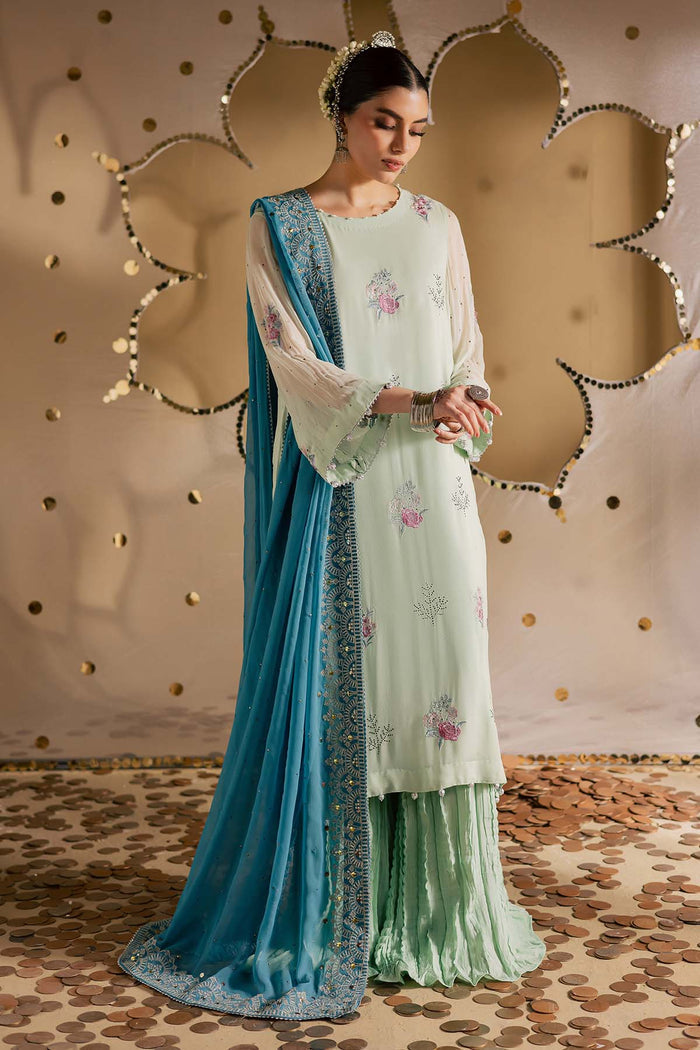 Nureh - Mukeshkari Chiffon Luxe Collection 2025
