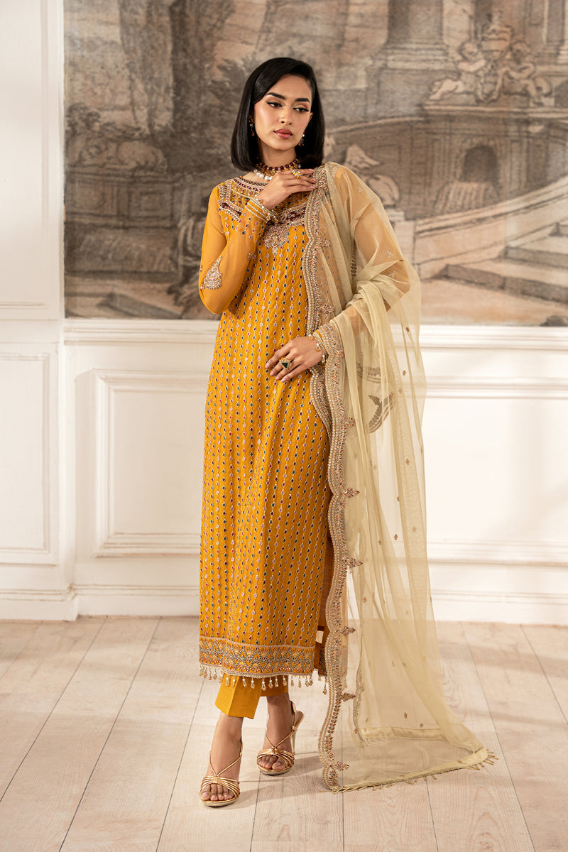 Zarif - Formal Collection 2025