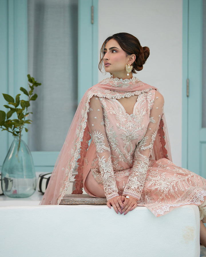 Pakistani Designer Ladies Suits | Punjaban Designer Boutique