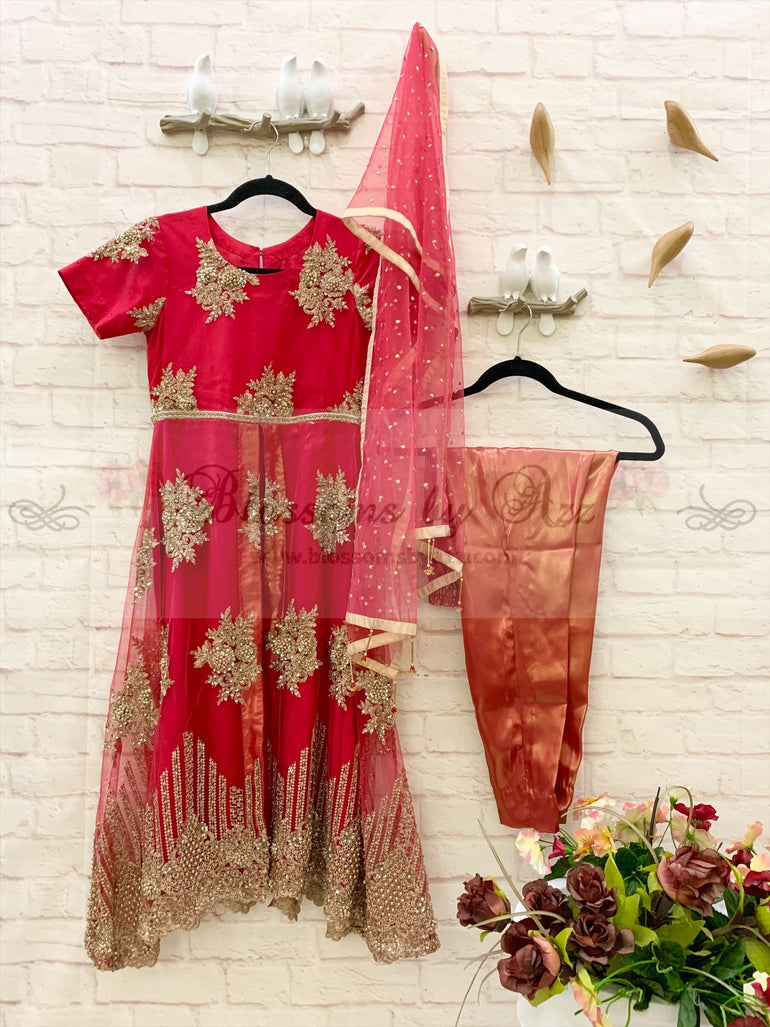 Fancy Net Full Dress for Girls - Blossoms by Azz