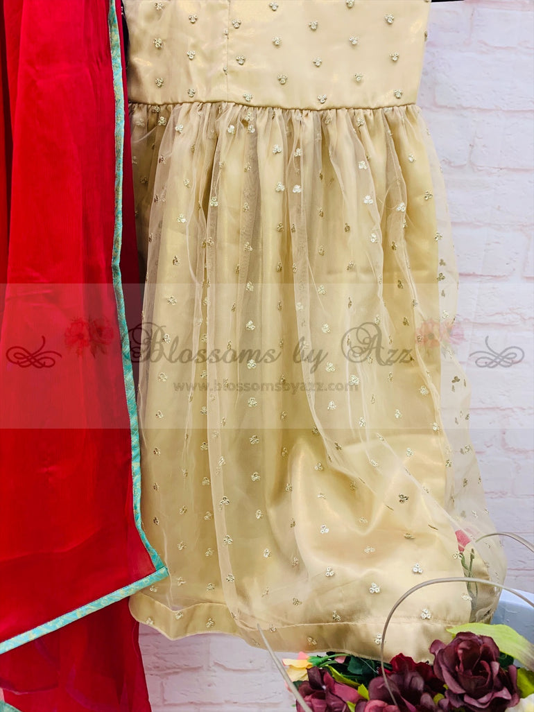 Embroidered Velvet Peplum with Gharara Outfit - Blossoms by Azz