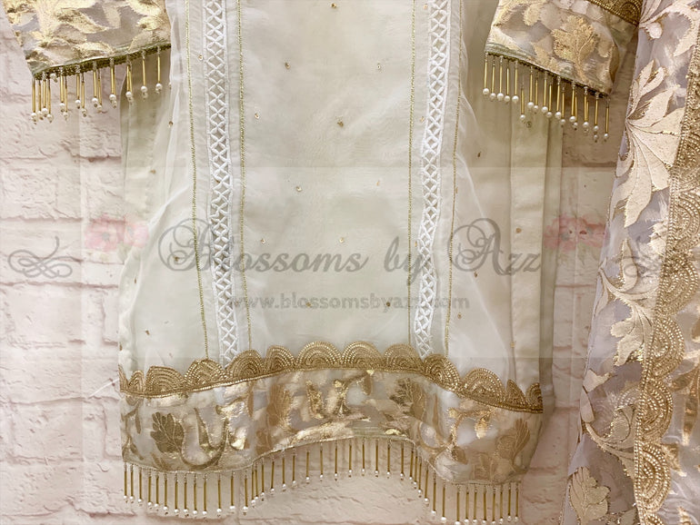 Organza Outfit With Hand & Gota Work - Blossoms by Azz