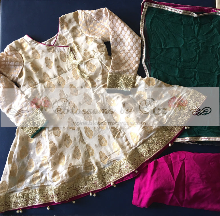 Banarsi Chiffon Angrakha Dress for Girls - Blossoms by Azz
