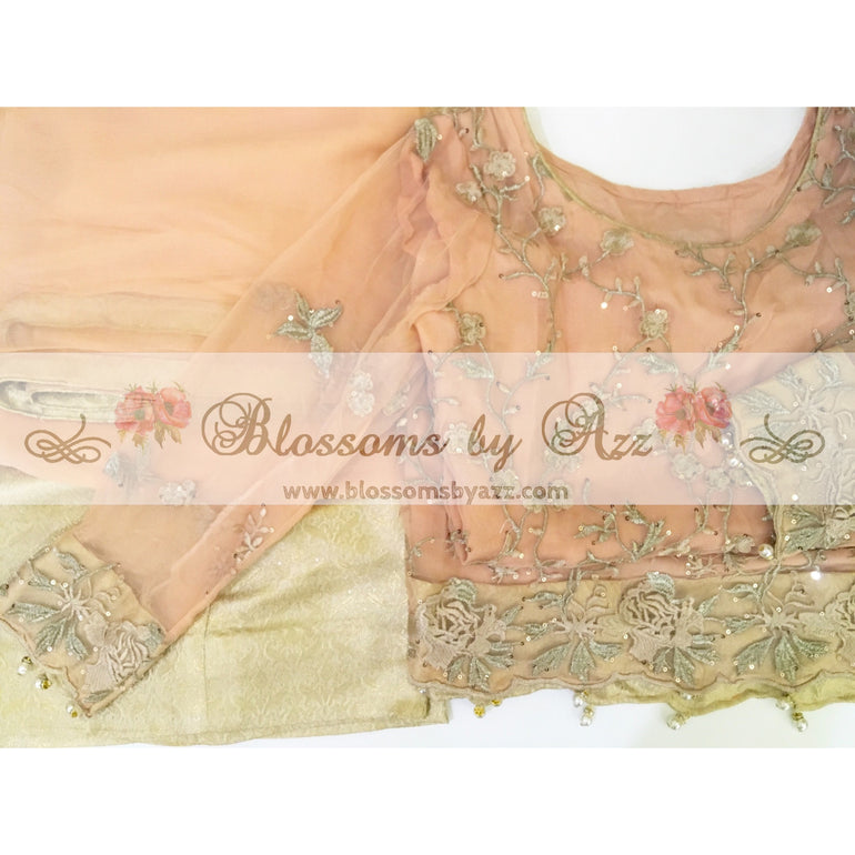 Peach Embroidered Chiffon Suit - Blossoms by Azz